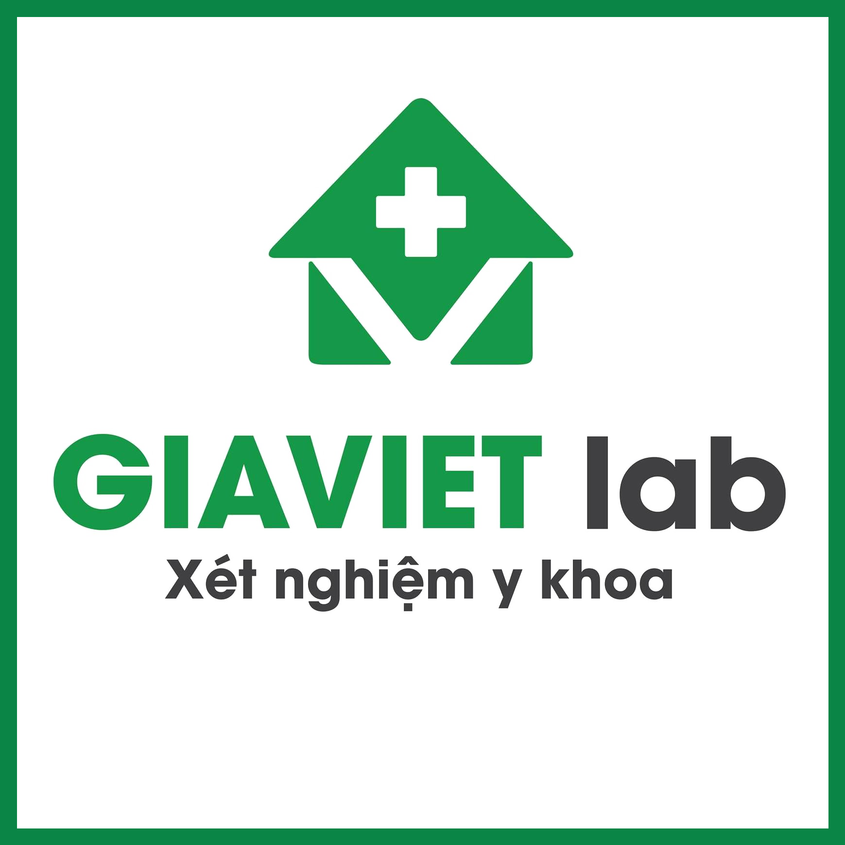 logo-GiaVietLab